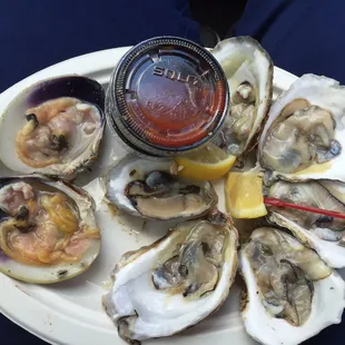 Shucked Oysters