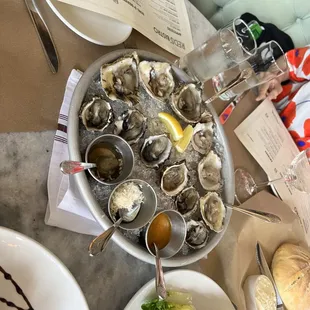 food, mussels, oysters and mussels, shellfish, oysters