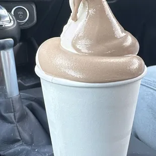 Chocolate &amp; Vanilla soft serve. The soft serve here is worth the trip.