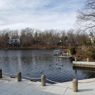 view of the water from outside.