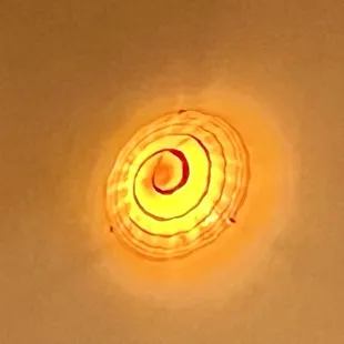 Shell lights . . Love.