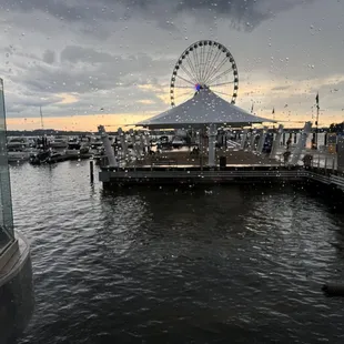 Dining view