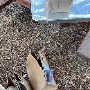 The Onion Family Pack.