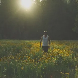 the meadow at sunset