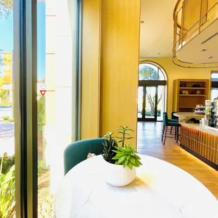 a table with a potted plant on it