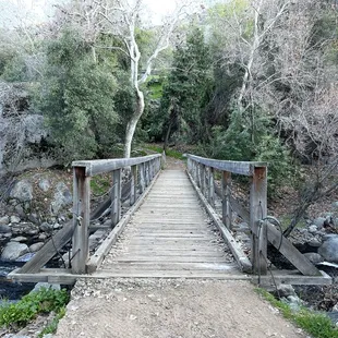 bridge