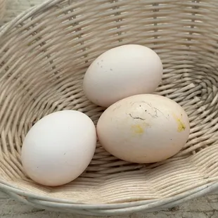 Fresh Farm Eggs