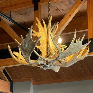 Chandelier