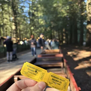 Tilden Regional Park Steam Train $4/ticket
