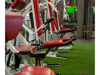 OneUp Gym
