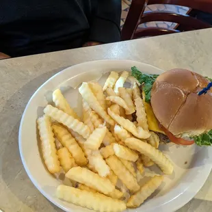 Hamburger with fries