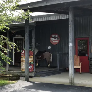 a horse standing outside of a building