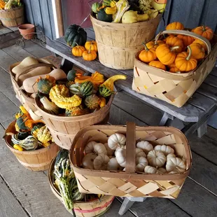 baskets of squash and gourds