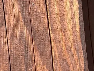 Holt Lumber