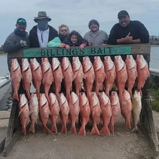 Nothing but hogs today