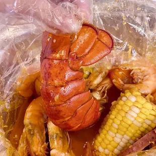 shellfish, oysters and mussels, food, oysters, mussels