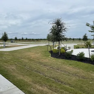 Back-in sites near the pool