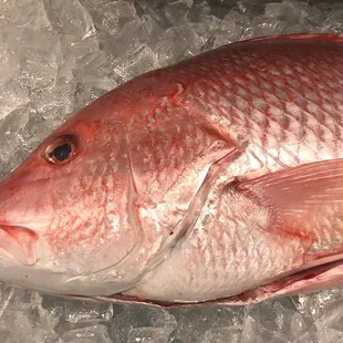 Look at that eye! Just look at its clarity. This fish is goregeous and super fresh.