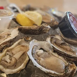 Raw oysters