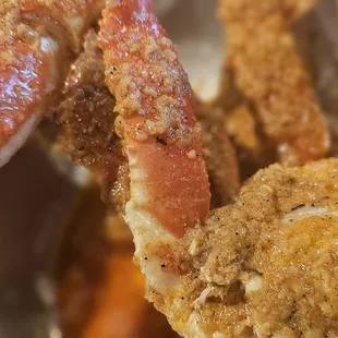 Crawfish Snow Crabs