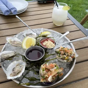 oysters, shellfish, food, oysters and mussels, mussels
