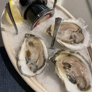 a plate of oysters