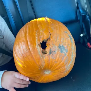 a child holding a pumpkin