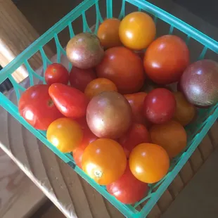 Scored some mixed small tomatoes from the farm. $1.99/basket