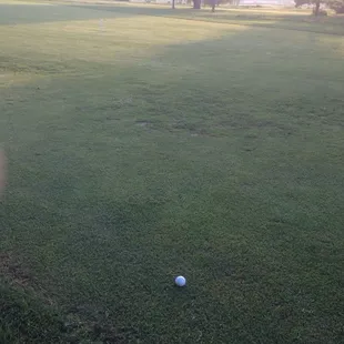 Course is never in great shape but for the price it's acceptable.