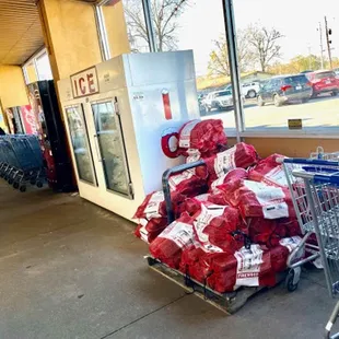 shopping carts with wrapped presents in them