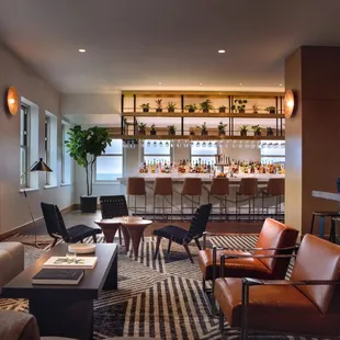 ramen and noodles, interior