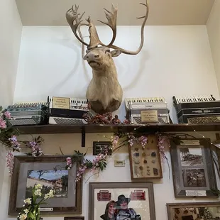 Lots of stuff to look at