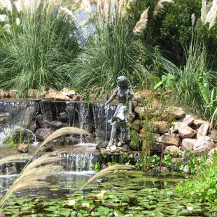 Gorgeous Ponds and Waterfalls
