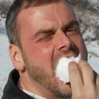 Robert N.