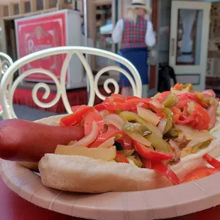 Main &quot;Street Dog&quot;