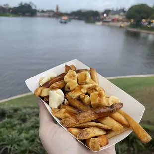 Traditional Poutine