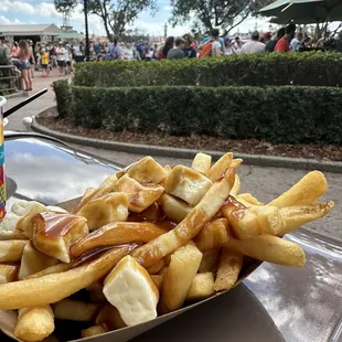 Traditional Poutine