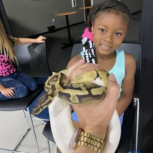 Vendor:  SHEDSKIN REPTILE EXPERIENCE