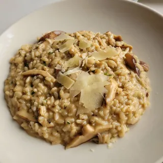 Risotto Funghi