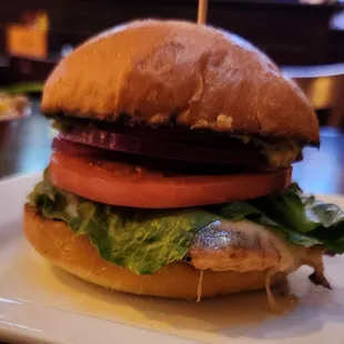 Grilled Chicken Sandwich