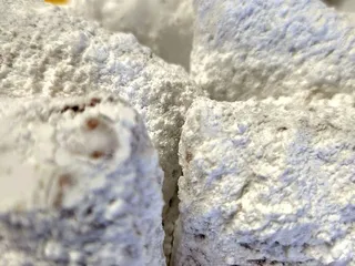 Taste Of New Orleanz