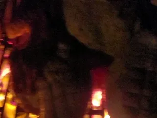 Savory Dave's Catering