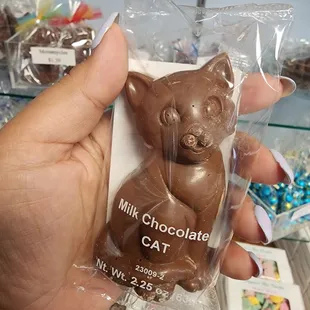 a hand holding a chocolate cat