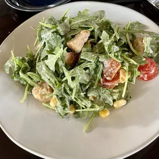 arugula caesar