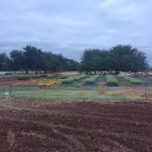 @rfbo Kids' Gardens - Urban Harvest