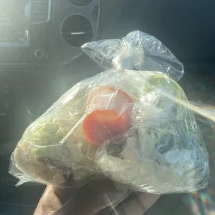 Cilantro, salsa, and cabbage slaw