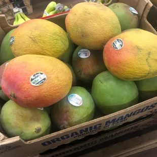 Fresh fruit
