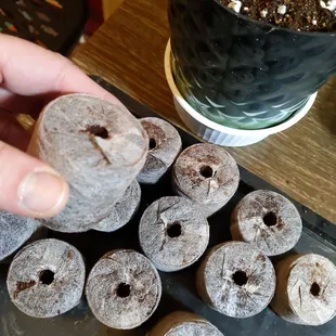 These would look better with some frosting on top.