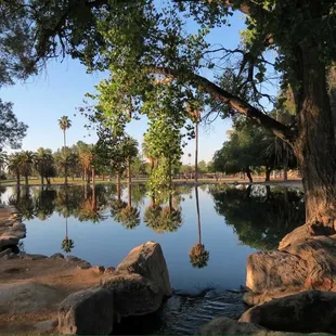 Reid Park , Tucson,AZ.