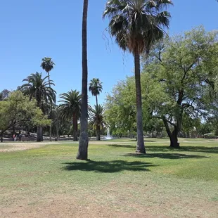 Social distancing made easy